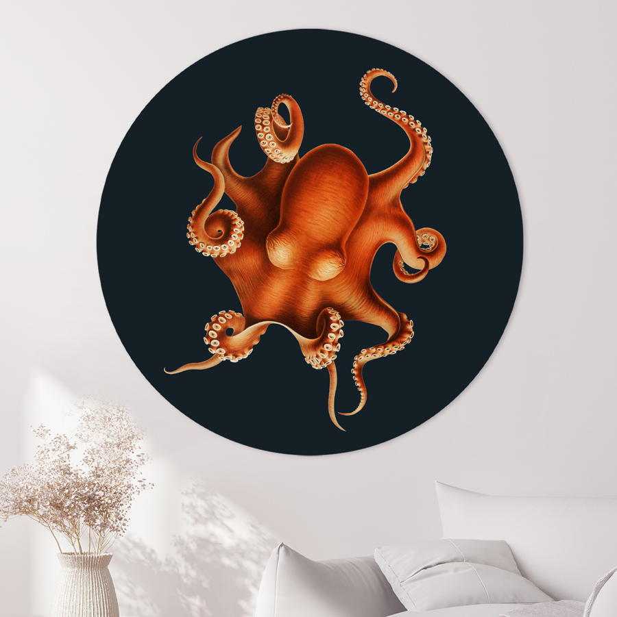 ART&ZO Muurcirkels flipenzo.nl Octopus