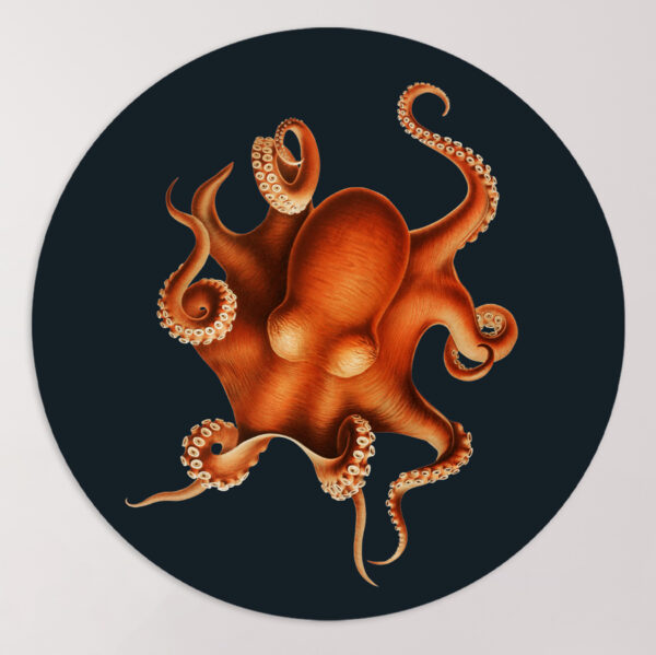 Vintage illustratie muurcirkel octopus oranje flipenzo wanddecoratie