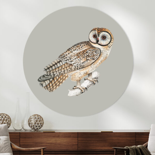 Vintage animals uil muurcirkel flipenzo
