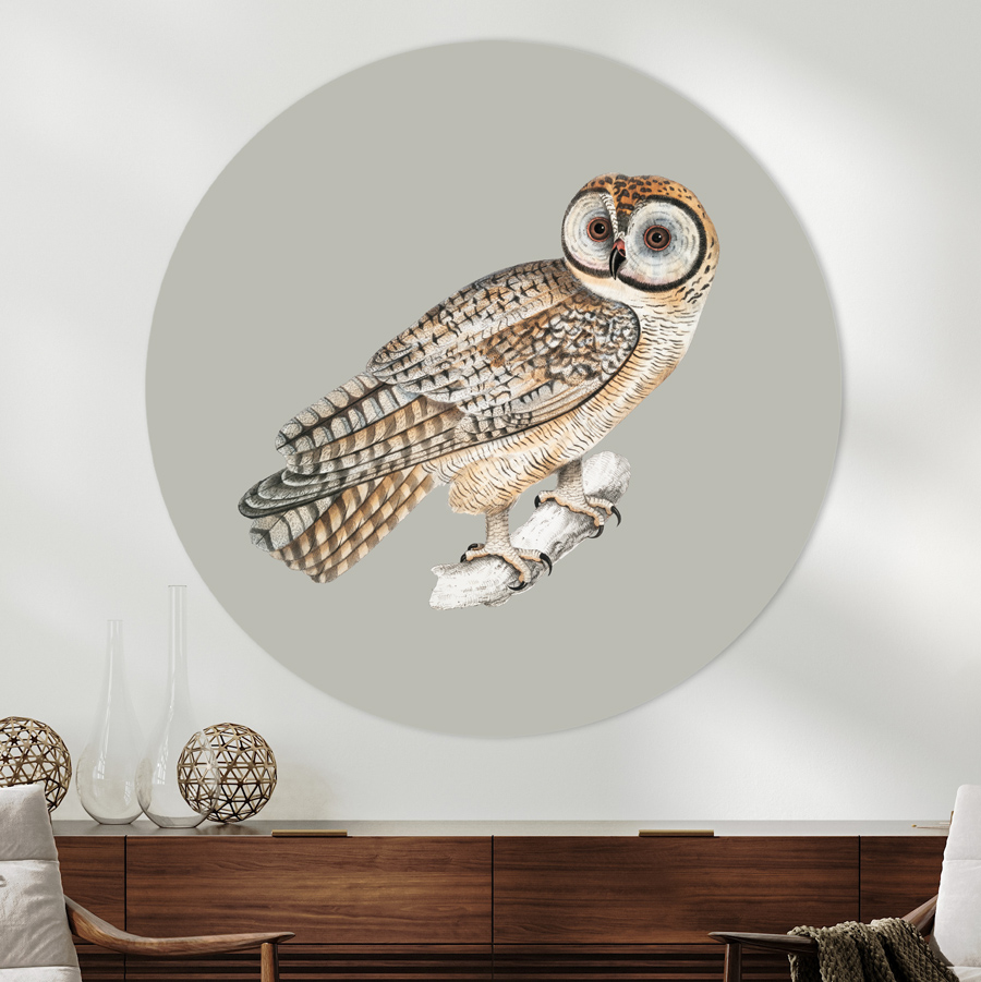 Vintage animals uil muurcirkel flipenzo