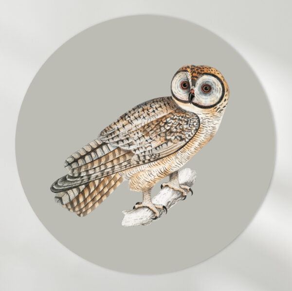 Vintage animals uil muurcirkel flipenzo grijs