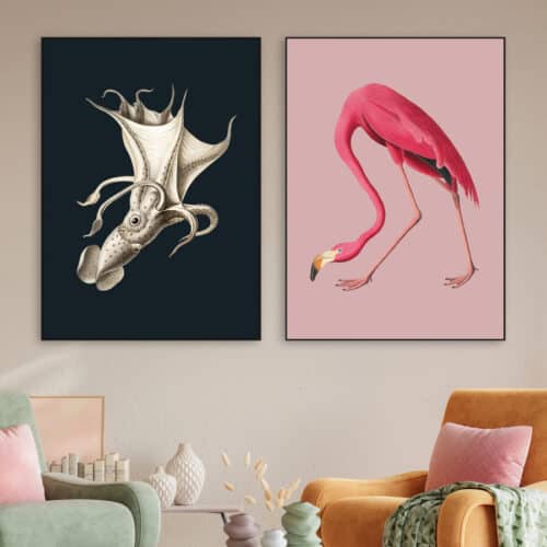 Paneel in baklijst met flamingo en inktvis illustratie als kleurrijke set wanddecoratie in modern interieur