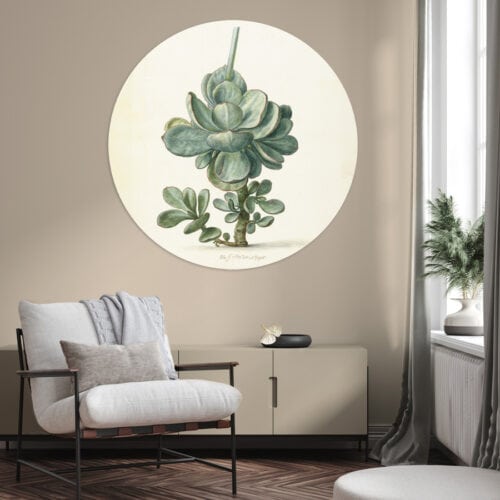 Vetplant art print muurcirkel botanisch wanddecoratie