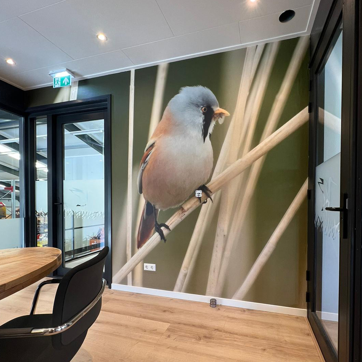 Fotobehang voor bedrijven. Kantoorinrichting